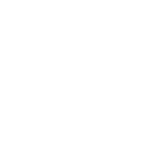 logo uaepavilion (1)